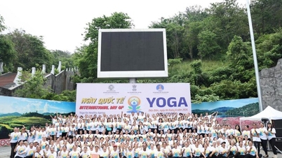 Dien Bien organisiert ein Programm zur Feier des Internationalen Yoga-Tags 2026.