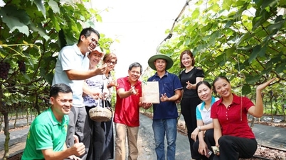 ការអភិវឌ្ឍខ្សែសង្វាក់ផ្គត់ផ្គង់កសិកម្មប្រកបដោយចីរភាព៖ ទស្សនៈមួយពីសហករណ៍បៃតងហាណូយ។