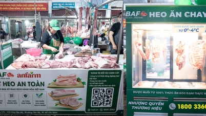 انضمت شركة BAF إلى منصة تداول لحوم الخنزير، وافتتحت نقطة بيع تحمل علامة "المسؤولية الخضراء".
