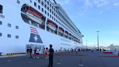 Khánh Hòa đón hơn 1.300 du khách quốc tế từ tàu biển Star Voyager