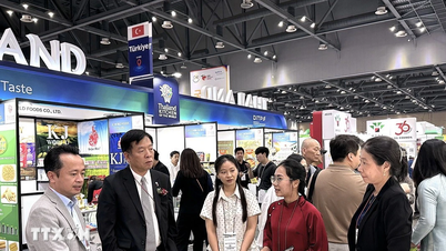 Seoul Food 2026: Thực phẩm Việt nâng tầm tại Hàn Quốc