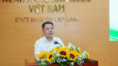 Thúc đẩy tín dụng xanh từ kinh nghiệm quốc tế đến thực tiễn Việt Nam