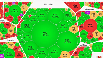 Low liquidity, VN-Index recovers slightly.