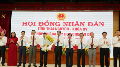 Mr. Tran Van Hau was elected as Vice Chairman of the People's Committee of Thai Nguyen province.