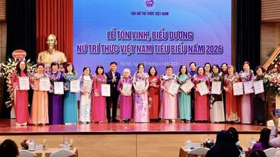 Hommage aux contributions immenses des intellectuelles vietnamiennes exceptionnelles.