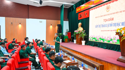 Ho Chi Minh Cityn veteraanit antavat ideoita erityisiä kaupunkialueita koskevan lain laatimiseen.
