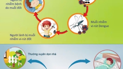 Som svar på den 16. ASEAN-dag for forebyggelse og kontrol af denguefeber (15. juni 2026).