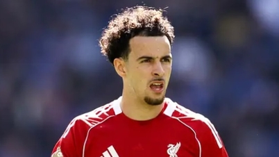 Curtis Jones rời Liverpool sang Inter Milan: Bài toán hóc búa về quy định UEFA