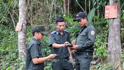 Kesenjangan dalam Pengelolaan Hutan Lindung - Bagian 1