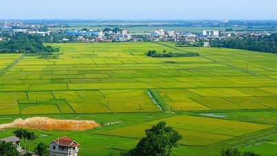 Kế hoạch triển khai cơ chế, chính sách đặc thù để xử lý vi phạm pháp luật về đất đai trước năm 2024