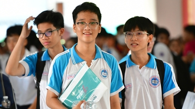 100% scholarships awarded to students of the Gifted High School.