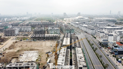 I progetti di edilizia sociale ad Hai Phong hanno un prezzo di quasi 30 milioni di VND/m2.