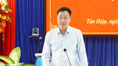 Xây dựng xã đảo Tân Hiệp thành hình mẫu về phát triển xanh, sinh thái bền vững