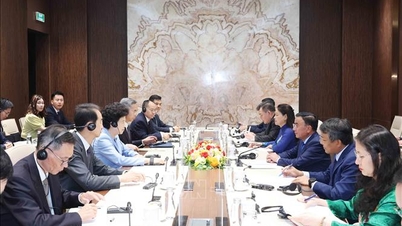 Thường trực Ban Bí thư Trần Cẩm Tú tiếp Đoàn đại biểu Chính hiệp toàn quốc Trung Quốc