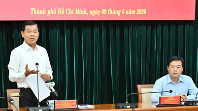 TPHCM tập trung tháo gỡ khó khăn, vướng mắc cho các dự án tồn đọng