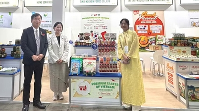 Seoul Food 2026: Doanh nghiệp thực phẩm Việt khơi thông "mỏ vàng" từ giá trị chế biến sâu