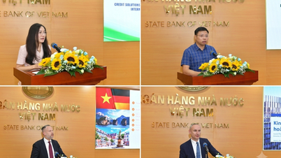 Tín dụng xanh tăng tốc, hướng tới tăng trưởng bền vững