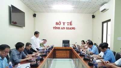 Ο An Giang εφαρμόζει μοντέλο βασισμένο στην κοινότητα για τον έλεγχο των φορέων του δάγκειου πυρετού.
