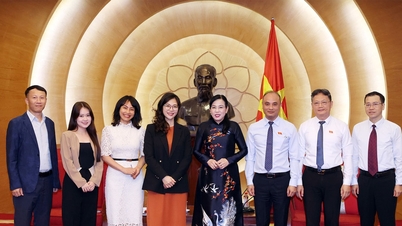 과학기술환경위원회 위원장인 응우옌 탄 하이(Nguyen Thanh Hai)는 호주국립은행 베트남 소프트웨어 개발센터 대표단을 접견했습니다.