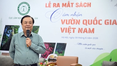 สัมผัสลมหายใจแห่งป่าอันกว้างใหญ่ผ่านอุทยานแห่งชาติ 36 แห่ง