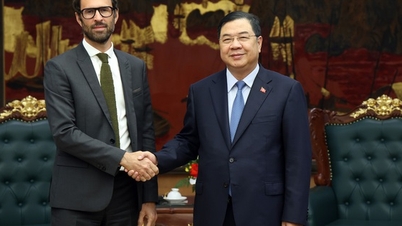 Phó Thủ tướng Thường trực Phạm Gia Túc tiếp lãnh đạo tập đoàn năng lượng tái tạo lớn của Pháp