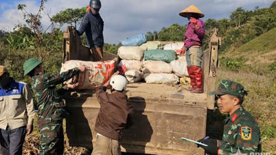 Đoàn Kinh tế - Quốc phòng 337: Gieo no ấm trên vùng “đất lửa”