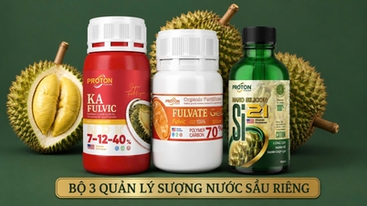 บริษัท Proton Fusion ร่วมมือกับเกษตรกรเพื่อแก้ไขปัญหาน้ำขังในต้นทุเรียน