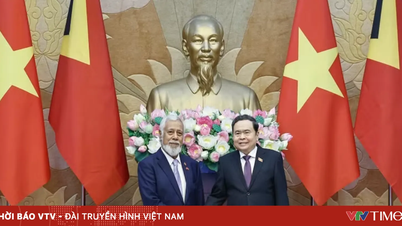 Vietnam supports the Timor-Leste Parliament becoming a full member of AIPA.