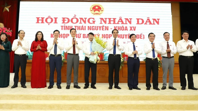 Thái Nguyên có tân Phó Chủ tịch UBND tỉnh