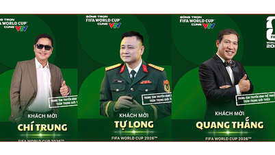 The cast of 'Tet Comedy Show' will participate in commenting on the 2026 World Cup.