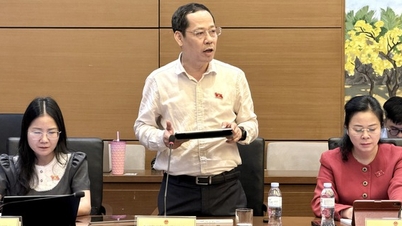 Luật sư công hưởng chế độ, chính sách như thế nào?