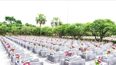 « La campagne des 500 jours » : le chemin pour « rétablir les noms » des soldats tombés au combat continue de s'écrire chaque jour.