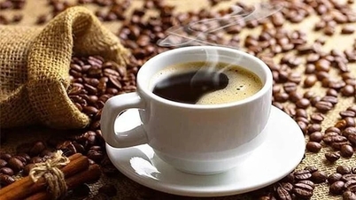 ราคาเมล็ดกาแฟวันนี้ 11 มิถุนายน 2569: ราคาในประเทศลดลงอย่างมาก
