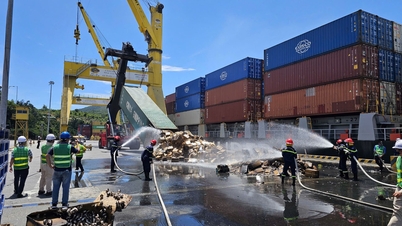 De haven van Da Nang heeft Cosco Shipping proactief bijgestaan ​​bij de afhandeling van het containerincident op het schip Sinar Solo.