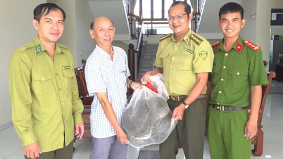 ງູເຫຼືອມນ້ຳໜັກ 20 ກິໂລກຣາມ ໄດ້ຖືກມອບໃຫ້ພະແນກປົກປ້ອງປ່າໄມ້ແຂວງອານຢາງ.