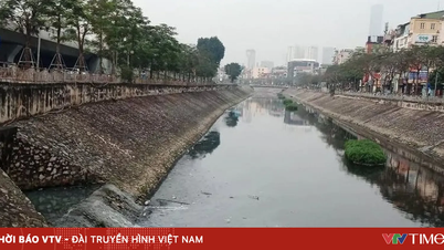 Proposta para aumentar as penalidades por atos que causam poluição ambiental.