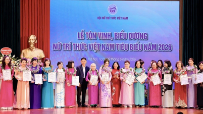 Gia Lai compte quatre intellectuelles qui ont été honorées et félicitées au niveau national.