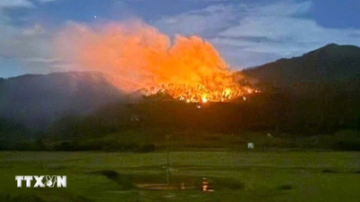 Lebih 900 komune berisiko tinggi mengalami kebakaran hutan pada 10 Jun.