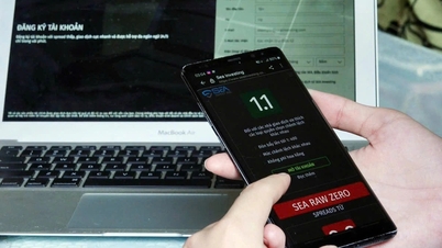 A digitális eszközök felhasználásával történő pénzmosás kockázata.