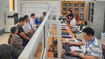 Ưu tiên nhân sự cho các lĩnh vực đất đai, tài chính, chuyển đổi số