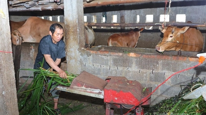 Perubahan dalam model mata pencarian