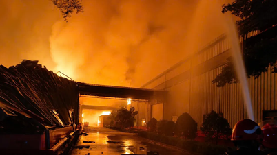 Cidade de Ho Chi Minh: Incêndio em fábrica de processamento de madeira é controlado.