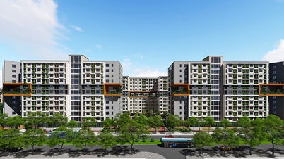 Chủ đầu tư nói gì về việc dân 'khu nhà giàu' đi bốc thăm giành suất mua nhà xã hội?