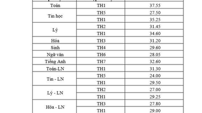 Ho Chi Minh City: Entrance exam scores for the Gifted High School have just been announced.