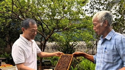지역 특산물부터 OCOP 제품까지: Doai Phuong은 농산물의 가치를 높입니다.