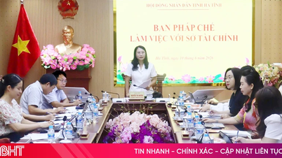 Cho ý kiến về dự thảo nghị quyết quy định mức chi đào tạo, bồi dưỡng công chức, viên chức