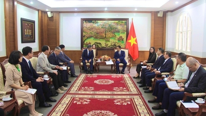 Vietnam og Sydkorea fremmer samarbejde inden for kulturarv.