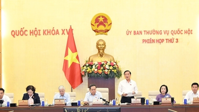 Pengadilan memiliki otonomi yang lebih besar dalam mempertimbangkan penerapan langkah-langkah rehabilitasi narkoba wajib.