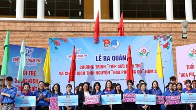Belia Lam Dong melancarkan kempen untuk menyokong musim peperiksaan 2026