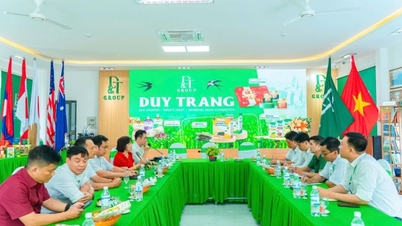 Perusahaan-perusahaan secara proaktif merangkul tren transformasi hijau.